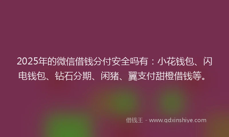 2025年的微信借钱分付安全吗有：小花钱包、闪电钱包、钻石分期、闲猪、翼支付甜橙借钱等。
