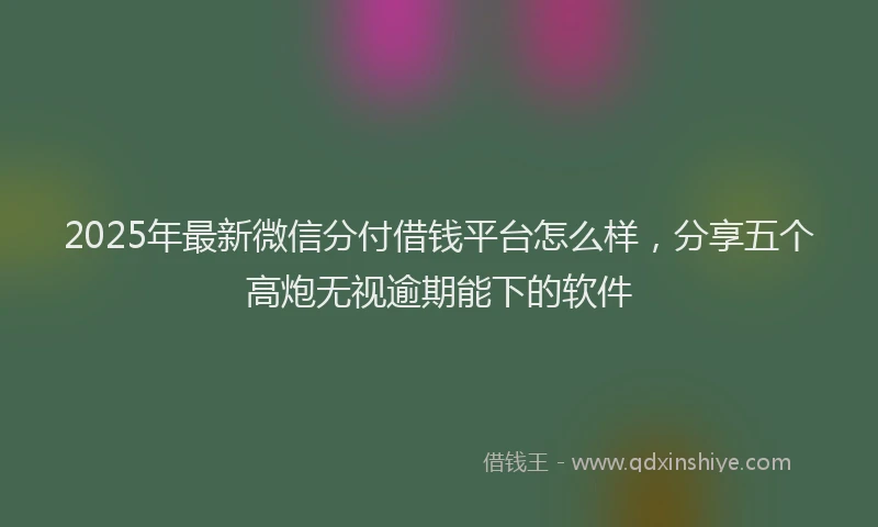 2025年最新微信分付借钱平台怎么样，分享五个高炮无视逾期能下的软件