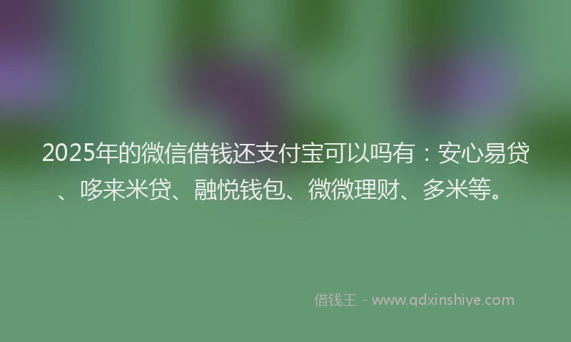 2025年的微信借钱还支付宝可以吗有：安心易贷、哆来米贷、融悦钱包、微微理财、多米等。