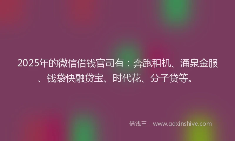2025年的微信借钱官司有：奔跑租机、涌泉金服、钱袋快融贷宝、时代花、分子贷等。