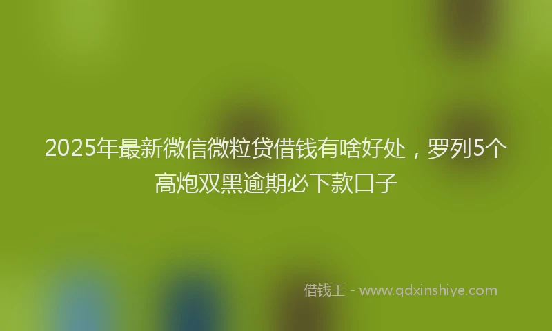 2025年最新微信微粒贷借钱有啥好处，罗列5个高炮双黑逾期必下款口子