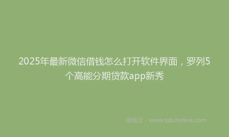 2025年最新微信借钱怎么打开软件界面，罗列5个高能分期贷款app新秀