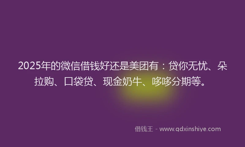 2025年的微信借钱好还是美团有：贷你无忧、朵拉购、口袋贷、现金奶牛、哆哆分期等。
