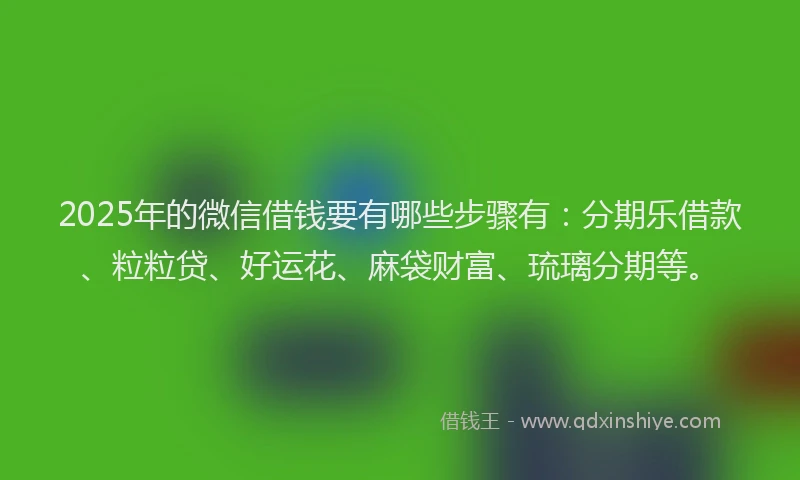 2025年的微信借钱要有哪些步骤有：分期乐借款、粒粒贷、好运花、麻袋财富、琉璃分期等。