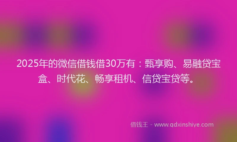 2025年的微信借钱借30万有：甄享购、易融贷宝盒、时代花、畅享租机、信贷宝贷等。