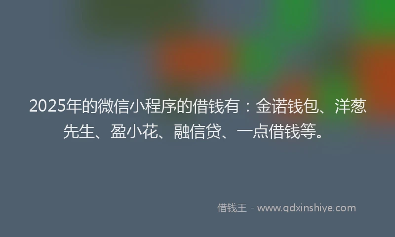 2025年的微信小程序的借钱有：金诺钱包、洋葱先生、盈小花、融信贷、一点借钱等。