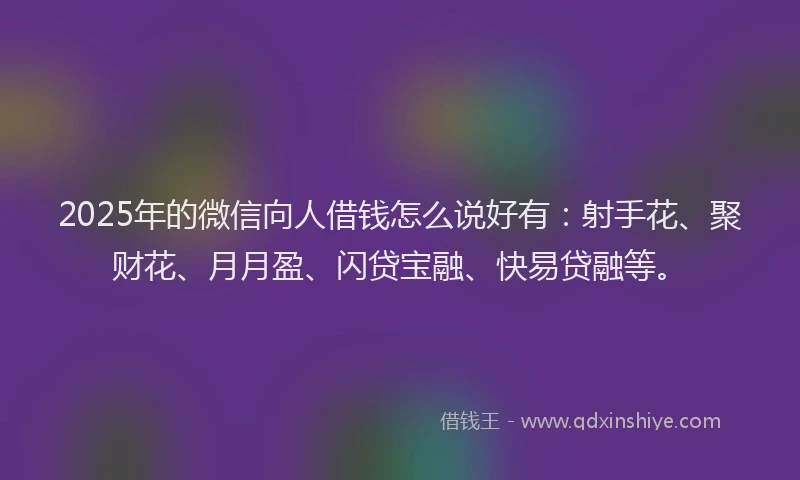 2025年的微信向人借钱怎么说好有：射手花、聚财花、月月盈、闪贷宝融、快易贷融等。