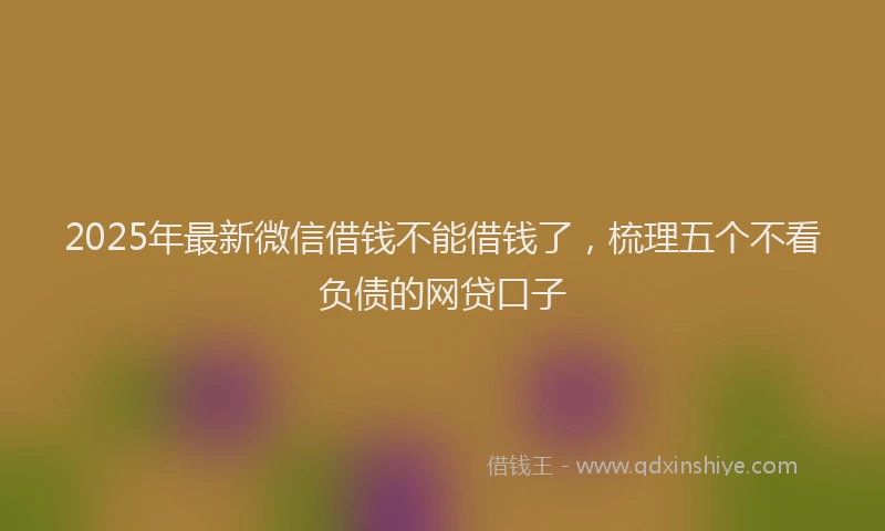 2025年最新微信借钱不能借钱了，梳理五个不看负债的网贷口子