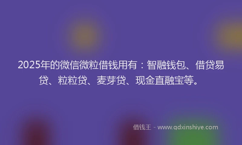 2025年的微信微粒借钱用有：智融钱包、借贷易贷、粒粒贷、麦芽贷、现金直融宝等。