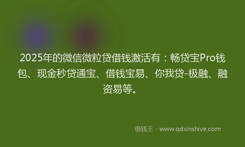 2025年的微信微粒贷借钱激活有：畅贷宝Pro钱包、现金秒贷通宝、借钱宝易、你我贷-极融、融资易等。