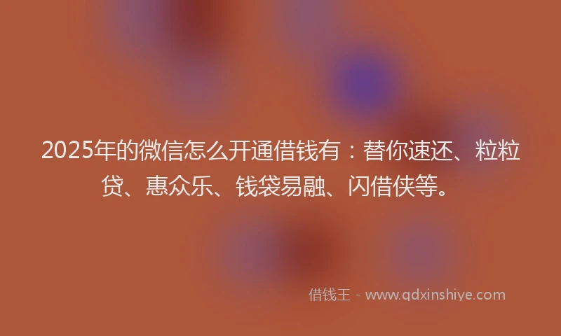 2025年的微信怎么开通借钱有：替你速还、粒粒贷、惠众乐、钱袋易融、闪借侠等。