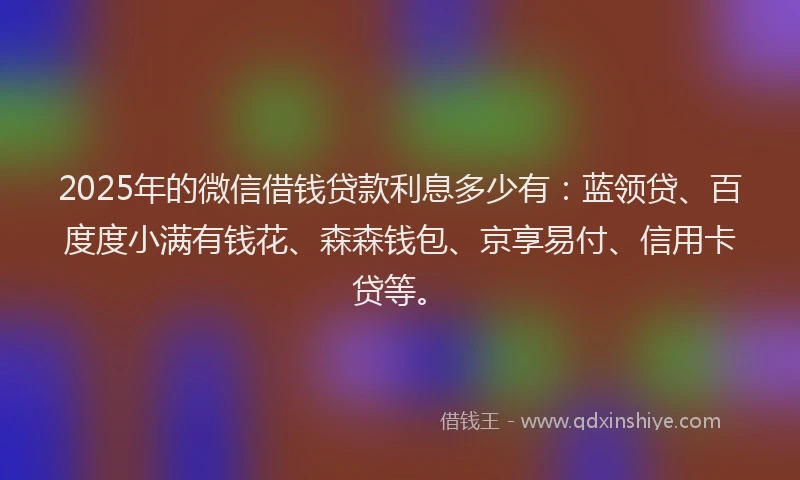 2025年的微信借钱贷款利息多少有：蓝领贷、百度度小满有钱花、森森钱包、京享易付、信用卡贷等。