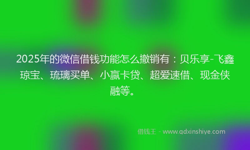 2025年的微信借钱功能怎么撤销有：贝乐享-飞鑫琼宝、琉璃买单、小赢卡贷、超爱速借、现金侠融等。