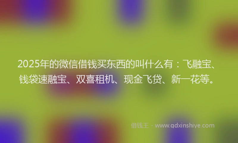 2025年的微信借钱买东西的叫什么有：飞融宝、钱袋速融宝、双喜租机、现金飞贷、新一花等。