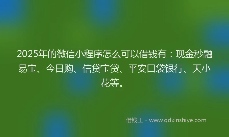 2025年的微信小程序怎么可以借钱有：现金秒融易宝、今日购、信贷宝贷、平安口袋银行、天小花等。