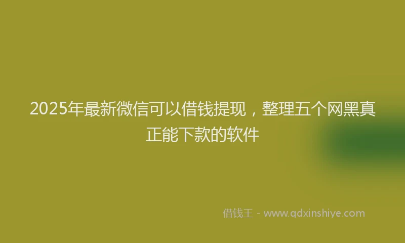 2025年最新微信可以借钱提现，整理五个网黑真正能下款的软件
