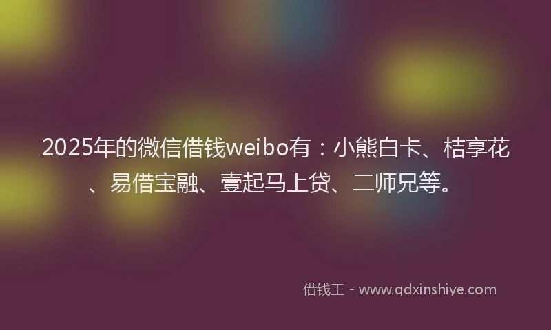 2025年的微信借钱weibo有：小熊白卡、桔享花、易借宝融、壹起马上贷、二师兄等。