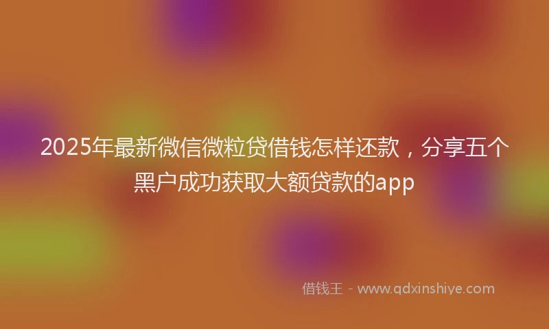 2025年最新微信微粒贷借钱怎样还款，分享五个黑户成功获取大额贷款的app