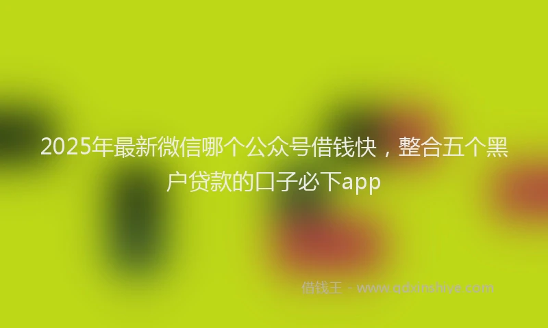 2025年最新微信哪个公众号借钱快，整合五个黑户贷款的口子必下app