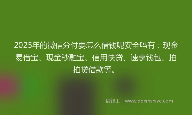 2025年的微信分付要怎么借钱呢安全吗有：现金易借宝、现金秒融宝、信用快贷、速享钱包、拍拍贷借款等。
