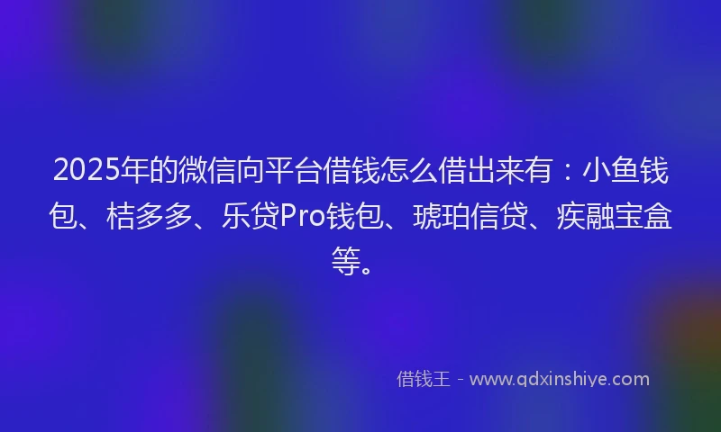 2025年的微信向平台借钱怎么借出来有：小鱼钱包、桔多多、乐贷Pro钱包、琥珀信贷、疾融宝盒等。