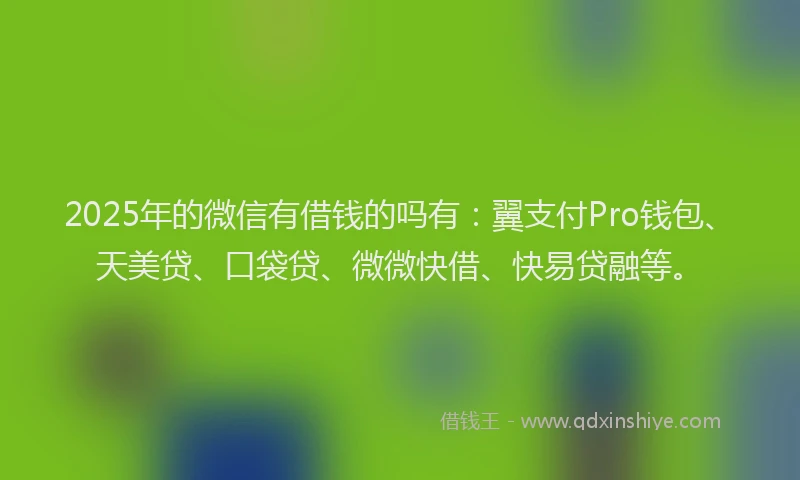 2025年的微信有借钱的吗有：翼支付Pro钱包、天美贷、口袋贷、微微快借、快易贷融等。