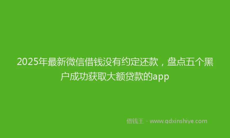 2025年最新微信借钱没有约定还款，盘点五个黑户成功获取大额贷款的app