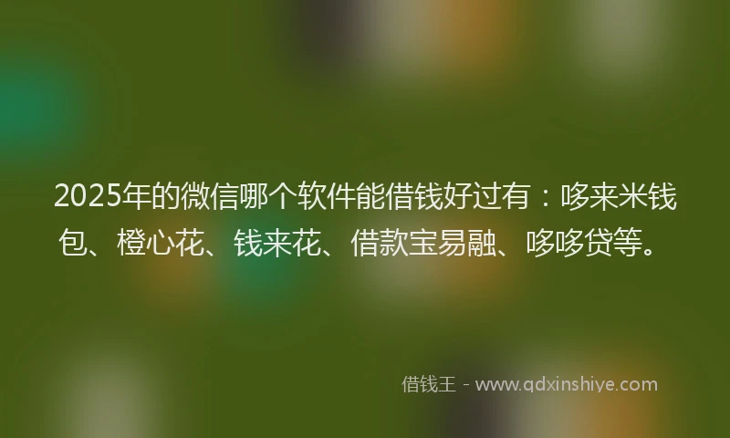 2025年的微信哪个软件能借钱好过有：哆来米钱包、橙心花、钱来花、借款宝易融、哆哆贷等。