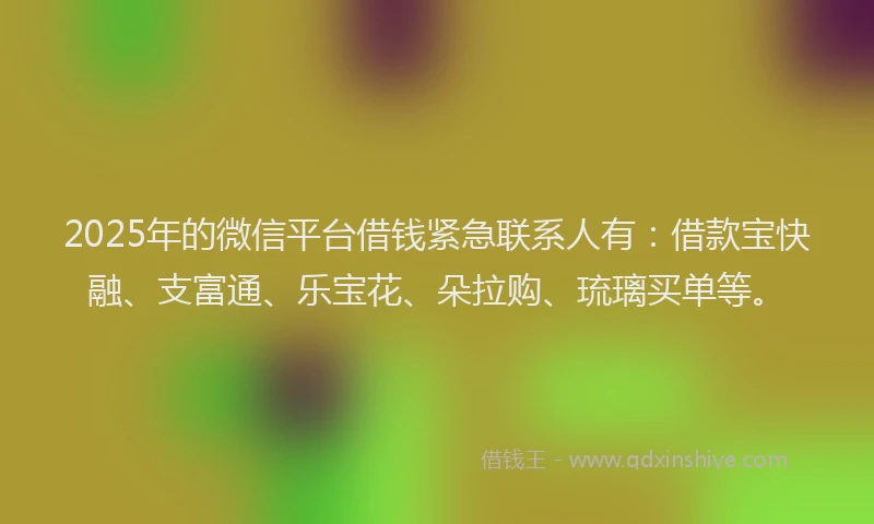 2025年的微信平台借钱紧急联系人有：借款宝快融、支富通、乐宝花、朵拉购、琉璃买单等。