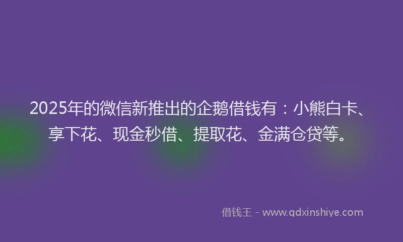 2025年的微信新推出的企鹅借钱有：小熊白卡、享下花、现金秒借、提取花、金满仓贷等。