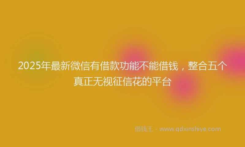 2025年最新微信有借款功能不能借钱，整合五个真正无视征信花的平台