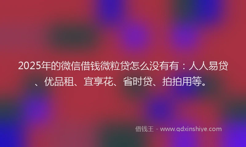 2025年的微信借钱微粒贷怎么没有有：人人易贷、优品租、宜享花、省时贷、拍拍用等。
