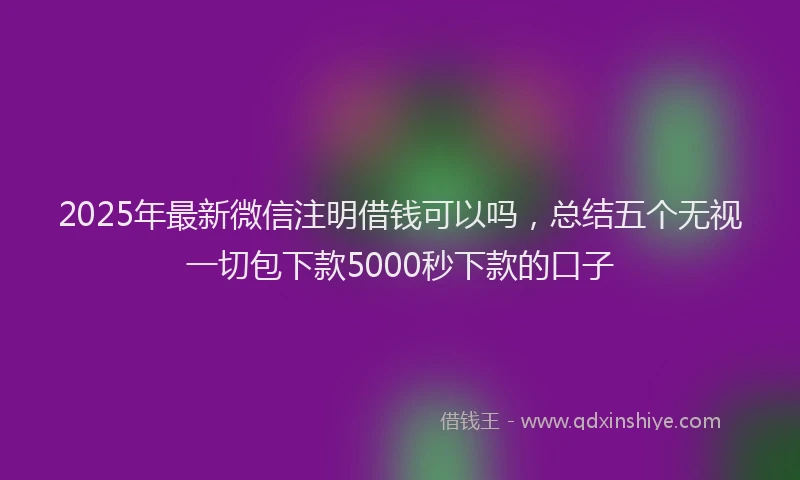 2025年最新微信注明借钱可以吗，总结五个无视一切包下款5000秒下款的口子