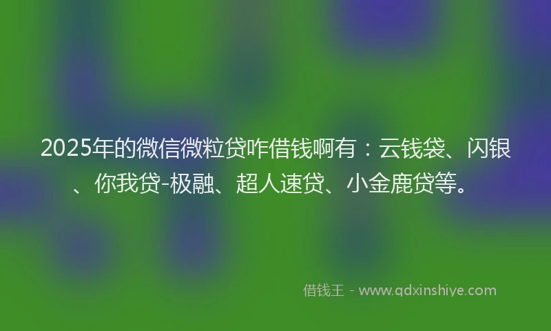 2025年的微信微粒贷咋借钱啊有：云钱袋、闪银、你我贷-极融、超人速贷、小金鹿贷等。