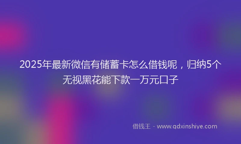 2025年最新微信有储蓄卡怎么借钱呢，归纳5个无视黑花能下款一万元口子