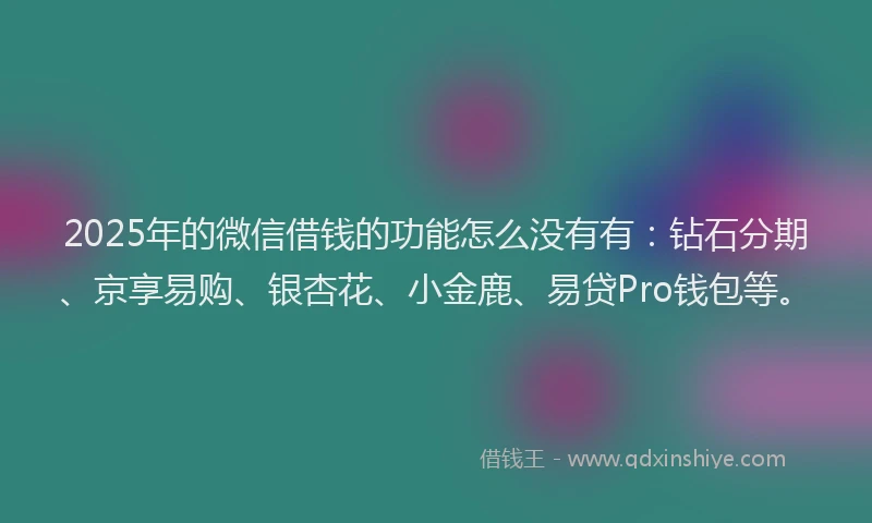 2025年的微信借钱的功能怎么没有有：钻石分期、京享易购、银杏花、小金鹿、易贷Pro钱包等。