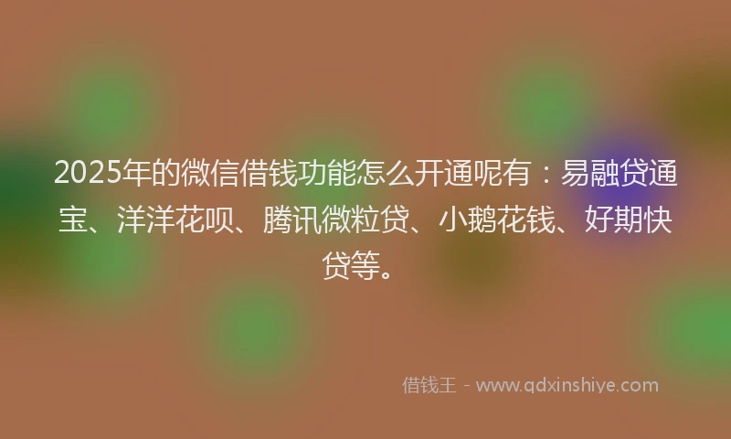 2025年的微信借钱功能怎么开通呢有：易融贷通宝、洋洋花呗、腾讯微粒贷、小鹅花钱、好期快贷等。