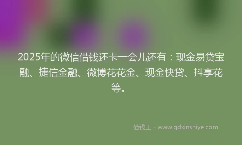 2025年的微信借钱还卡一会儿还有：现金易贷宝融、捷信金融、微博花花金、现金快贷、抖享花等。