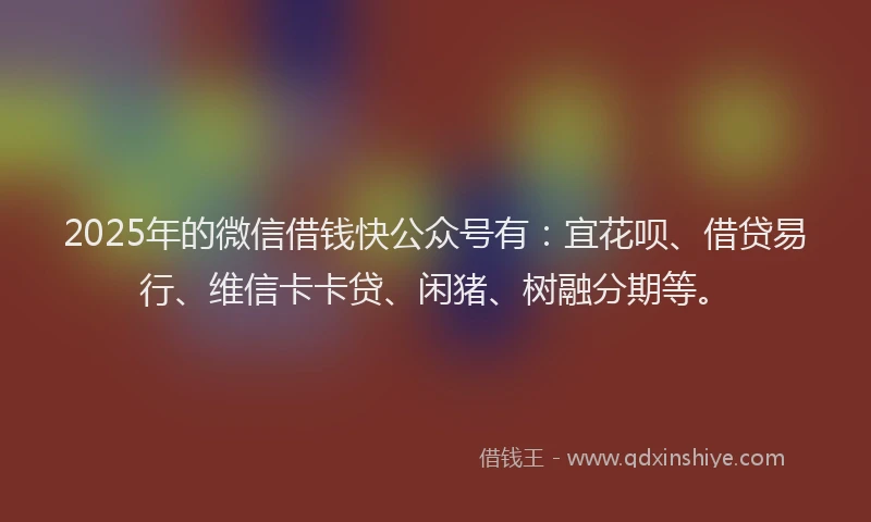 2025年的微信借钱快公众号有：宜花呗、借贷易行、维信卡卡贷、闲猪、树融分期等。