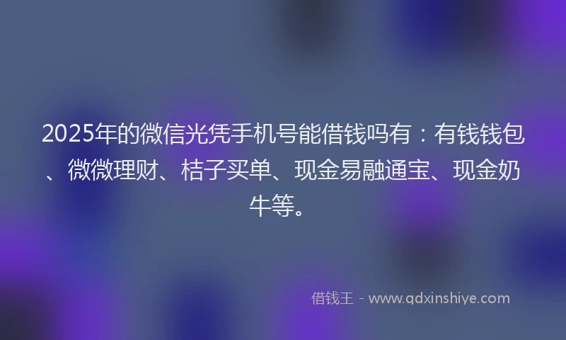 2025年的微信光凭手机号能借钱吗有：有钱钱包、微微理财、桔子买单、现金易融通宝、现金奶牛等。