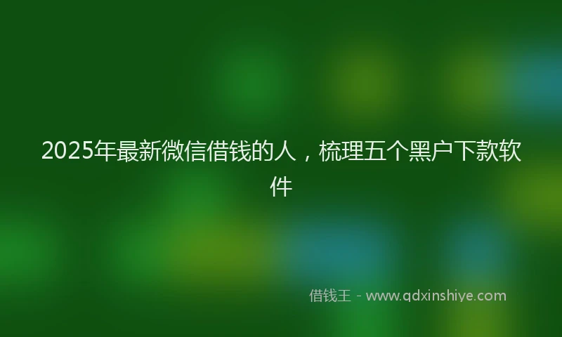 2025年最新微信借钱的人，梳理五个黑户下款软件