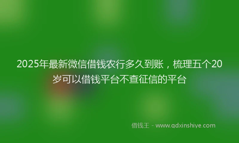 2025年最新微信借钱农行多久到账，梳理五个20岁可以借钱平台不查征信的平台