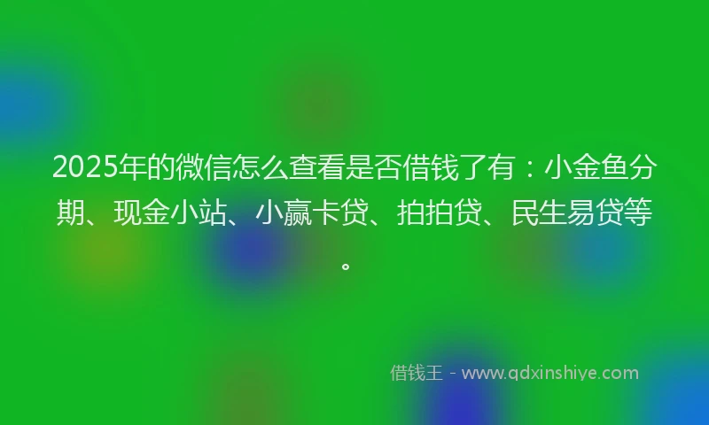 2025年的微信怎么查看是否借钱了有：小金鱼分期、现金小站、小赢卡贷、拍拍贷、民生易贷等。
