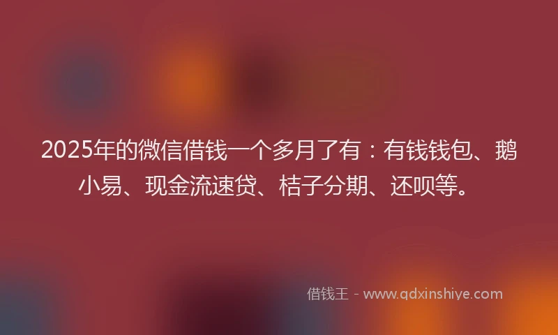 2025年的微信借钱一个多月了有：有钱钱包、鹅小易、现金流速贷、桔子分期、还呗等。