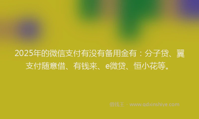 2025年的微信支付有没有备用金有：分子贷、翼支付随意借、有钱来、e微贷、恒小花等。