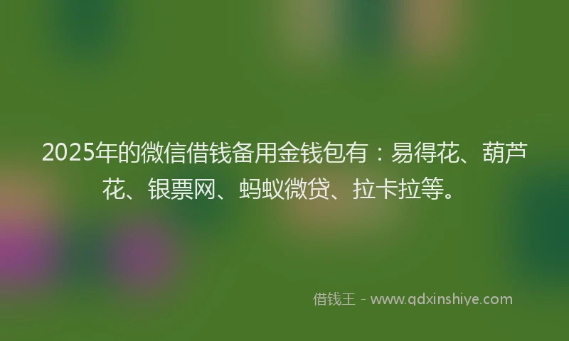 2025年的微信借钱备用金钱包有：易得花、葫芦花、银票网、蚂蚁微贷、拉卡拉等。