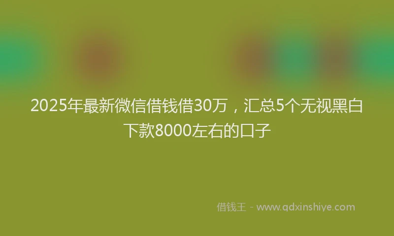 2025年最新微信借钱借30万，汇总5个无视黑白下款8000左右的口子