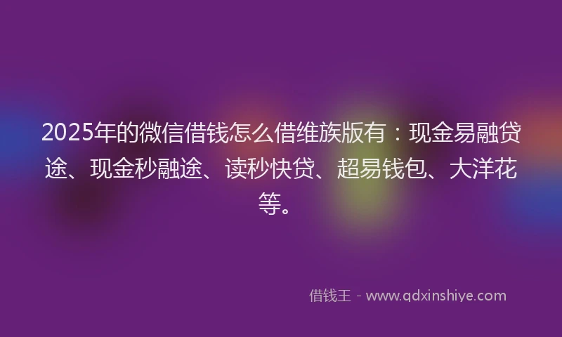 2025年的微信借钱怎么借维族版有：现金易融贷途、现金秒融途、读秒快贷、超易钱包、大洋花等。