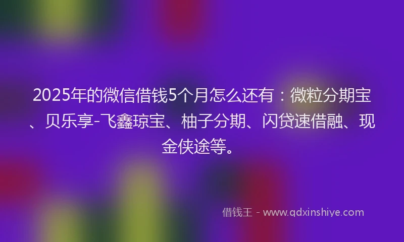2025年的微信借钱5个月怎么还有：微粒分期宝、贝乐享-飞鑫琼宝、柚子分期、闪贷速借融、现金侠途等。