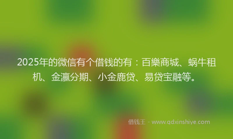 2025年的微信有个借钱的有：百樂商城、蜗牛租机、金瀛分期、小金鹿贷、易贷宝融等。